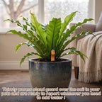 Set of 12 Cute Worms Plant Water Meter, Soil Moisture Indicator - Image 6