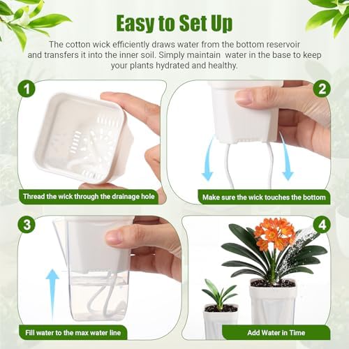 30 Pack 2" 2.5" Small Self Watering Pots for Indoor Plants Clear Mini Self Watering Plant Pot with Water Level Drainage Holes 30 Plastic Label 3 Planting Tools Rope for Propagation Succulent - Image 4
