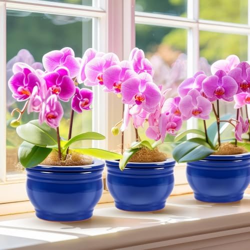 2 Set 6 Inches African Violet Pots Ceramic Self Watering Pots for Indoor Plants with Highly Absorbent Inner for Busy Plant Lovers Flower Maintenance (Blue) - Image 6