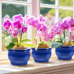 2 Set 6 Inches African Violet Pots Ceramic Self Watering Pots for Indoor Plants with Highly Absorbent Inner for Busy Plant Lovers Flower Maintenance (Blue) - Image 6