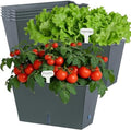Window Box Planter 6 Pcs, 12.6 Inches Self Watering Rectangle Flower Plant Pots with Drainage Holes & Breathable Trays, Vegetable Planters for Windowsill Patio Garden Balcony Porch Yard (Dark Green) by Oliz