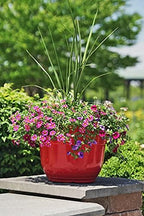 Garden Elements Indoor/Outdoor Glazed Brushed Happy Plastic Planter, Large, Bright Red, 15" (Pack of 2) - Image 2