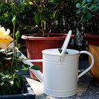 1 Gallon Matte Cream Metal Watering Can, Removable Spout - Image 2