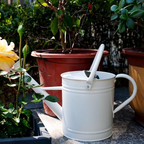 1 Gallon Matte Cream Metal Watering Can, Removable Spout - Image 2
