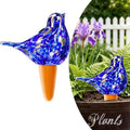 Self Watering Globes, Glass Automatic Watering Ball, Plant Watering Globes, Slow Release Irrigation Spike Suitable for Indoor Outdoor Potted Plants by Unknown