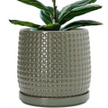 D'vine Dev Beaded Ceramic Pot with Saucer, 10 in, Olive, 27-C-P-0 by DvineDevPlanterPotsandStand