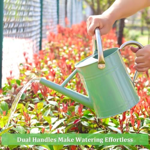 1 Gallon Watering Can for Outdoor&Indoor Plants - Image 4