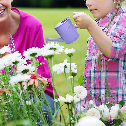 Small Metal Watering Can Set, Pink, 1.2L and 0.23L Garden Cans with Long Spout, Indoor Outdoor Plant Care (Purple) - Image 6