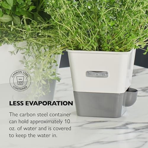Cole & Mason Self-Water Herb Keeper - Potted Herb Saver with Hydro Pad & Pour Spout - Fresh Herb Keeper for Refrigerator - Herb Storage & Container - Image 5
