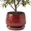10.3 Inch Ceramic Planter with Saucer,Modern Garden Pots with Drainage Hole Mesh Net, for Indoor Outdoor Use (Speckle Red) by Unknown