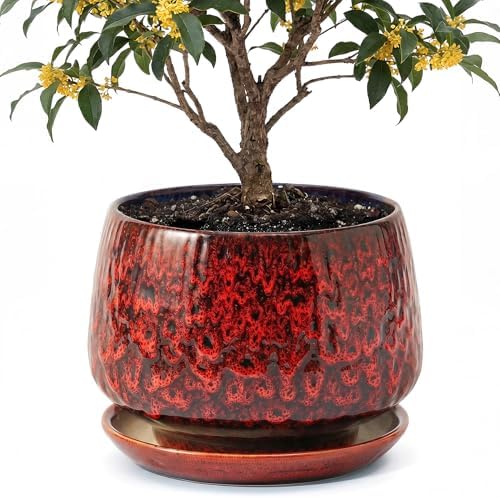10.3 Inch Ceramic Planter with Saucer,Modern Garden Pots with Drainage Hole Mesh Net, for Indoor Outdoor Use (Speckle Red) by Unknown