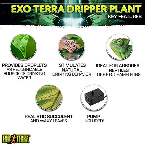 Exo Terra Dripper Plant, Large - Image 2