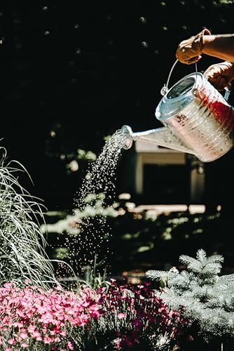 Behrens 1.5 Gallon Hot Dipped Steel Watering Can - Image 3
