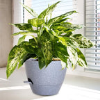 WSMKSZ 12/10/9 inch Self Watering Pots for Indoor Outdoor Plants, Set of 3 - Image 6