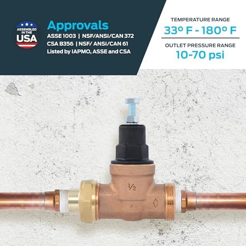 Cash Acme EB45 Pressure Regulating Valve, Single Union, 1/2 Inch NPT Female x NPT Female, Poly Top, 60 PSI, PVA08P-SUTH-60 - Image 4