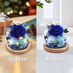 Casaido Preserved Roses Flowers for Delivery, Mothers Day Rose Gifts for Her, Blue Forever Flores in Glass Dome for Women Mom Wife Girlfriend, Anniversary Birthday Rose for Vanlentines Day Christmas - Image 4