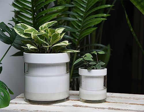 Phoenix Vine 6 Inch 4 Inch Self Watering Planter, White Terracotta Clay Pots with Glass Reservoir for Indoor Plants, Herbs, Flowers, 52-B-G-46 - Image 5