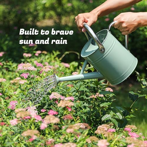 1 Gallon Watering Can for Plants, Watering Cans for Indoor&Outdoor Gardening, Galvanized Steel Watering Pot with Removable Spout, Metal Water Can with Ergonomic Movable Handle(Cream Green) - Image 2