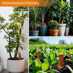 30 oz Terracotta Plant Watering Globes, 3Pack Self-Watering Clay Irrigation - Image 4