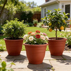 RooTrimmer 3-Pack 16 Inch Large Outdoor Plastic Plant Pots with Drainage Holes – Durable,Lightweight & Weather-Resistant Flower Planters for Patio,Garden,Balcony (Pottery Red) - Image 5