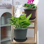 1 Pack of 26 inch Plant Saucer, Large Plant Tray, Heavy Sturdy Plant Drainage Tray for Indoors, Bird Bath Bowls, Sturdy Plastic Pot Tray for Planter (Black) - Image 5
