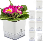 Planterhoma Self Watering Plant Pots for Indoor Plants 4.3 inch, 6 Packs Square Self-Watering Planters with Drainage Hole, White African Violet Pots for Devil's Ivy, Spider Plant, Orchid, Herb by Planterhoma