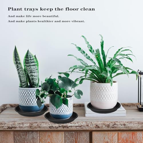 5 Pack of 14 inch Plant Saucer Plant Tray, Plastic Plant Saucer 14 inch, Heavy Duty Plant Tray for Pots, Plant Saucers for Indoors Planter, Garden Water Plate Bowls for Gallon Grow Bags (Black) - Image 4