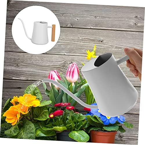 Mini Long Spout Watering Kettle Garden Plant Water Sprayer 1000ml Capacity - Image 4