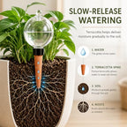 4Pcs Plant Watering Globes, 17oz Self-Watering Bulbs with Terracotta Spikes - Image 2