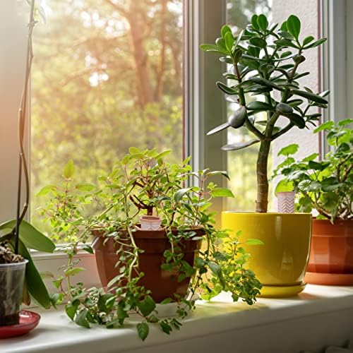 Relaxdays Clay Watering Spikes, Set of 4, Stakes for 1.5 L Plastic Bottles, Indoor & Outdoor Plants, Zig-Zag, Terracotta, Ceramics, 18 x 5.5 x 5 cm - Image 5