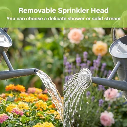 1 Gallon Metal Watering Can for Outdoor&Indoor Plants - Image 4