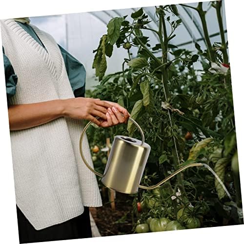Holibanna Brass Watering Can for Plants Long Spout Stainless Steel Kettle 1.5L Capacity for Indoor and Outdoor Use Practical Watering Pot Ergonomic Handle - Image 7