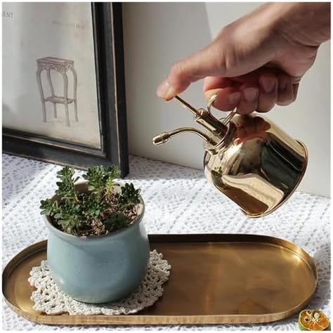 300ml Vintage Watering Spray Bottle Top Pump Can Sprayer Plant Mister, for Garden House Plants - Image 2