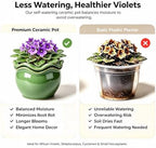 Self-Watering Ceramic Pot for African Violet Indoor Plants - Image 5