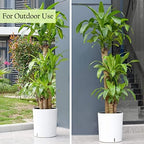 SAROSORA Large Round Self Watering Planter Pot 12.5'' for Home Garden Patio Tall Tree - Image 4