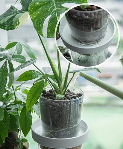 Phoenix Vine 8 Inch Plastic Plant Saucer Water Drip Tray, Heavy Sturdy Round Plant Drainage Tray for Indoors Outdoor, Set of 2, Matte White, 21-TY-8W-2 - Image 3
