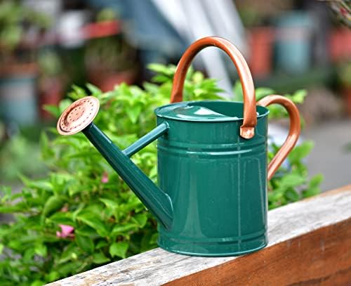 Metal Watering Can 1 Gallon for Outdoor Garden Plants, Green - Image 3