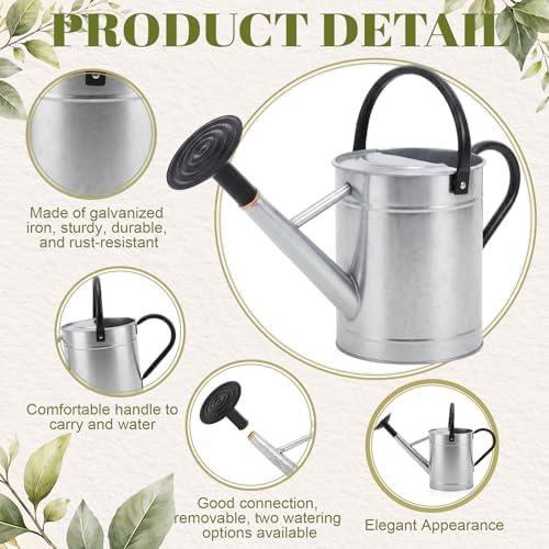 1 Pcs 1 Gallon Metal Watering Can for Indoor Outdoor Plants, Galvanized Garden Water Can with Long Spout and Dual Handles, Large Silver Watering Pot for Flowers, Houseplants, Yard - Image 3