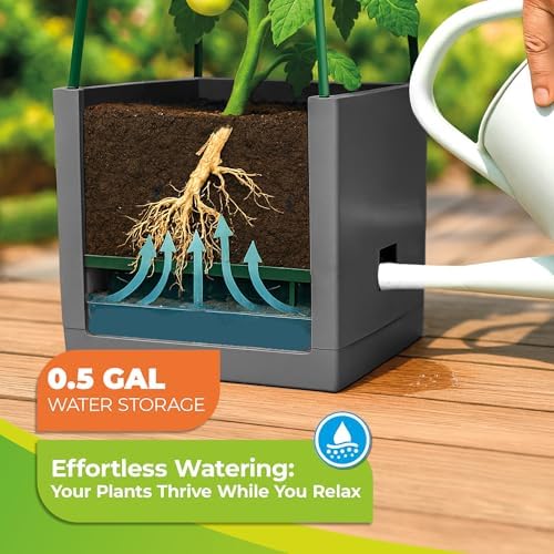 Bio Green 2 Pack Garden Tomato Planter MAXITOM, with Plant Support Trellis 59 inch and Self Watering, 4,2 Gal Planter Box for Climbing Vegetables Plants, Gray - Image 6