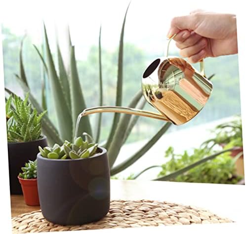 Mipcase Extra Stainless Steel Watering Kettle Gooseneck Auto Watering Can for Plants Scepter Flower Gardening Tool - Image 6