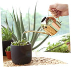 Mipcase Extra Stainless Steel Watering Kettle Gooseneck Auto Watering Can for Plants Scepter Flower Gardening Tool - Image 6