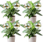 VZZNN 8 Pack Rainbow Glass Plant Watering Globes - Self Watering Planter Insert, Plant Watering Devices for Water Plants While Away, Indoor Outdoor Automatic Slow-Release Watering Bulbs by VZZNN