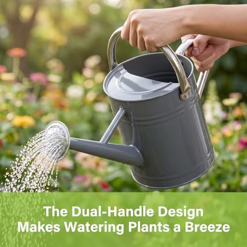 1 Gallon Metal Watering Can for Outdoor&Indoor Plants - Image 3