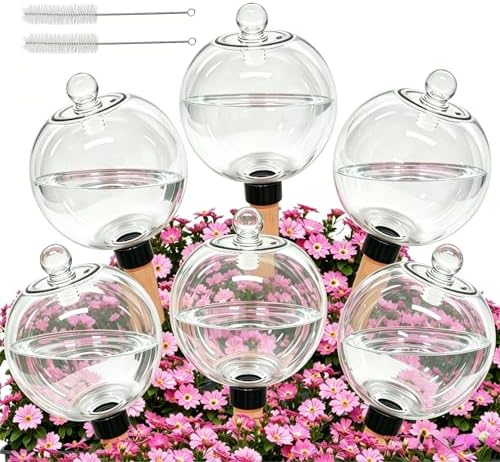 6 Pack 26oz Extra Large Self Watering Globes with 2 Brushes by Unknown