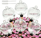 6 Pack 26oz Extra Large Self Watering Globes with 2 Brushes by Unknown