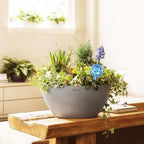 Plant Watering Globes Set of 8, Small - Glass Self Watering Globes - Image 2