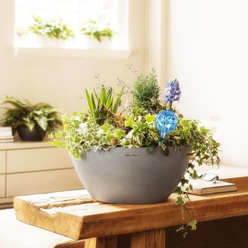 Plant Watering Globes Set of 8, Large - Glass Self Watering Globes - Image 2