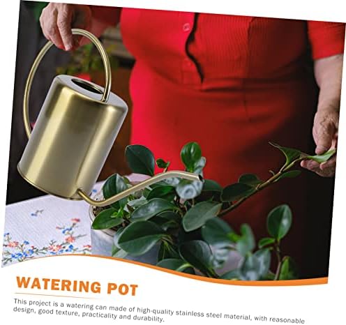 Stainless Steel Watering Kettle 2000ml Golden for Gardening Home - Image 6