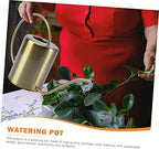 Stainless Steel Watering Kettle 2000ml Golden for Gardening Home - Image 6