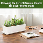 MyGift 14 Inch Unglazed White Ceramic Indoor Plant Pot with Drainage Hole - Image 2